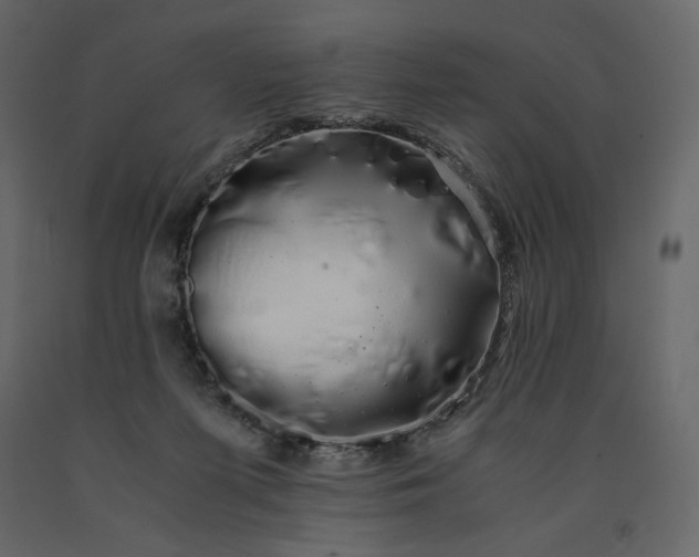 X0000091240215200708231724