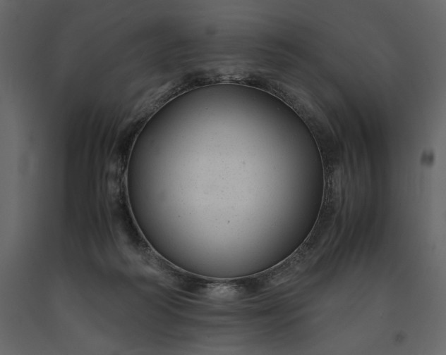 X0000091240218200708231724