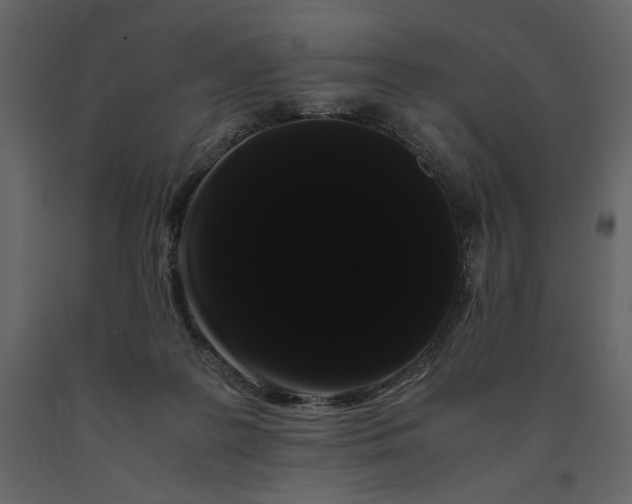 X0000091240219200708231724