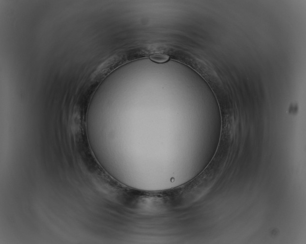 X0000091240220200708231724