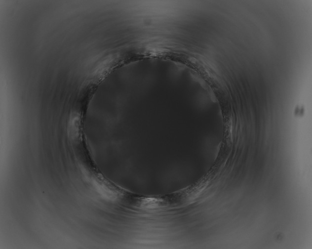 X0000091240222200708231724