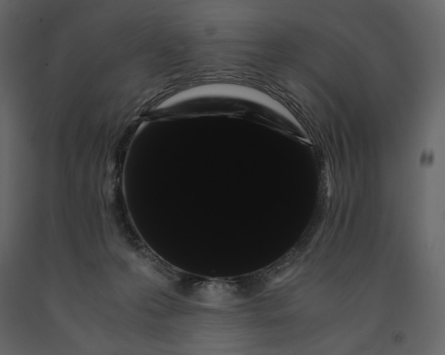 X0000091240223200708231724