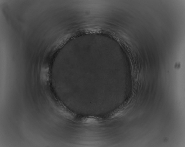 X0000091240224200708231724