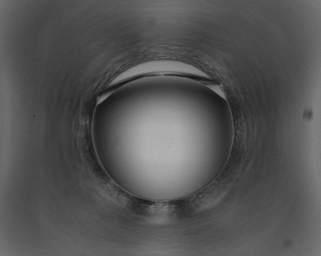 X0000091240225200708231724