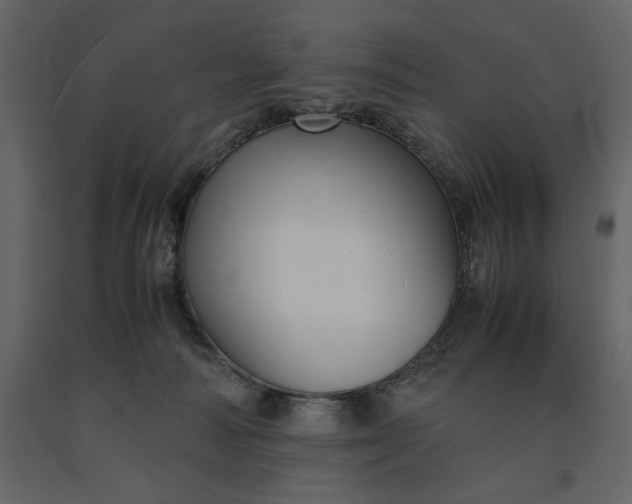 X0000091240226200708231724