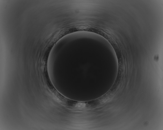X0000091240227200708231724