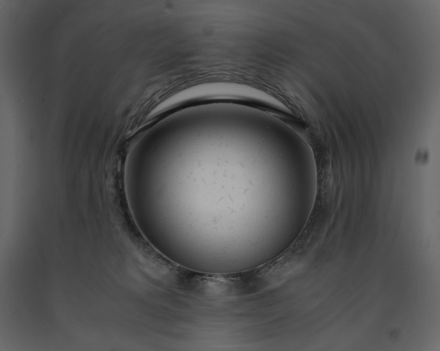 X0000091240229200708231724