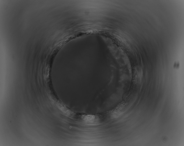 X0000091240230200708231724