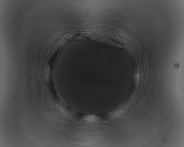 X0000091240231200708231724