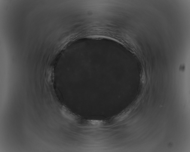 X0000091240233200708231724