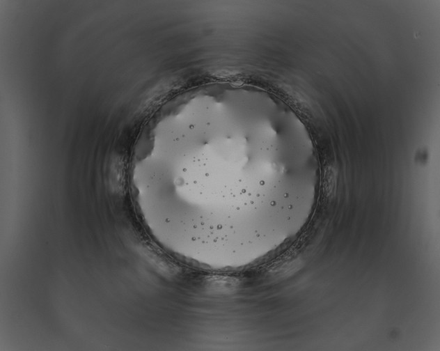 X0000091240234200708231724