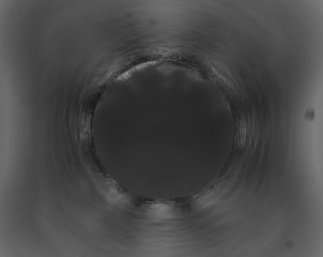 X0000091240236200708231724