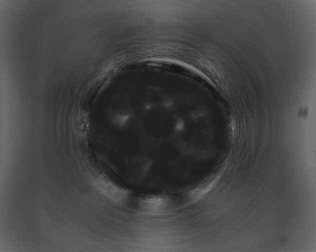 X0000091240237200708231724