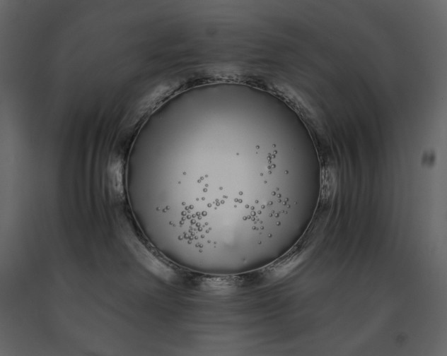 X0000091240238200708231724