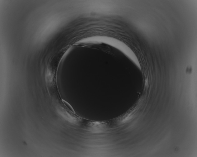 X0000091240239200708231724