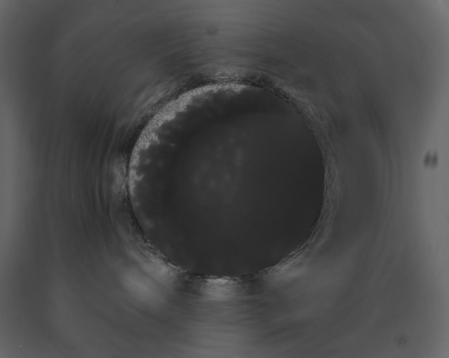 X0000091240240200708231724