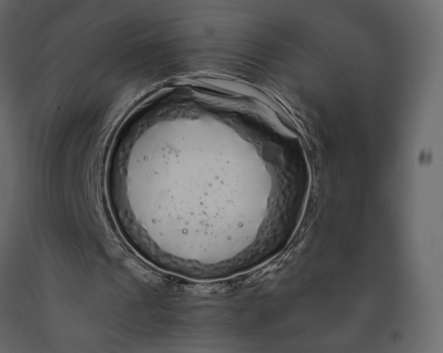 X0000091240241200708231723