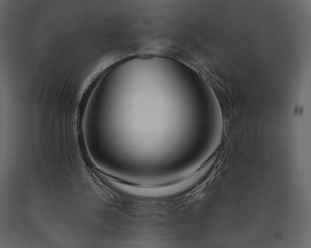 X0000091240244200708231724