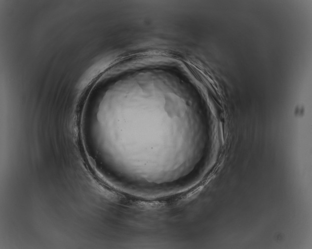 X0000091240245200708231724