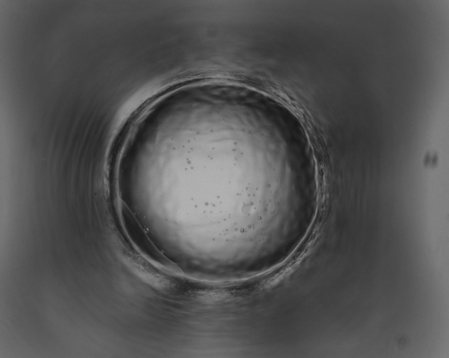 X0000091240246200708231724