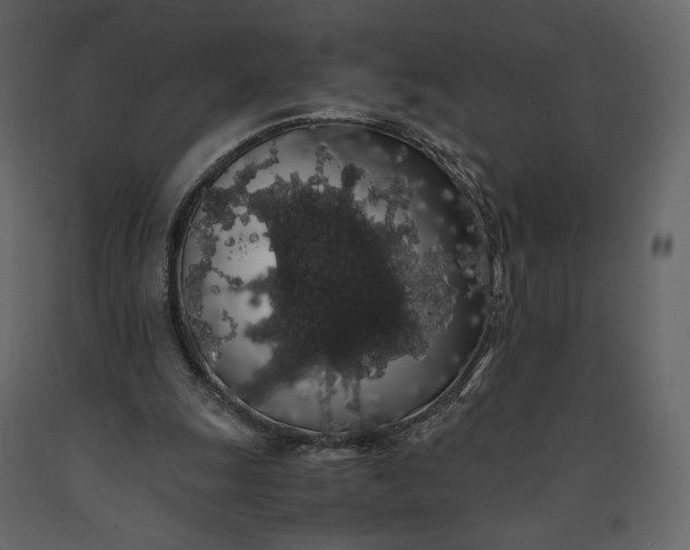 X0000091240247200708231724