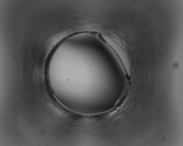 X0000091240248200708231724