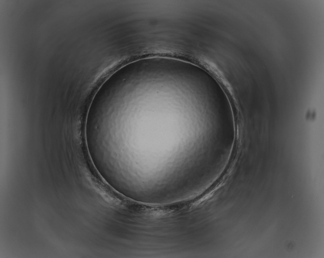 X0000091240249200708231724