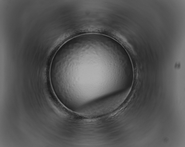 X0000091240250200708231724