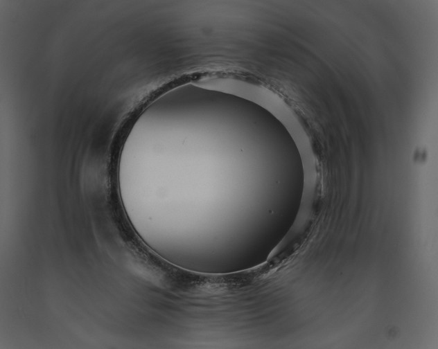 X0000091240252200708231724