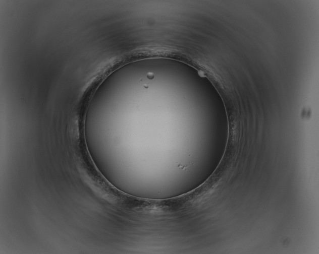 X0000091240254200708231724
