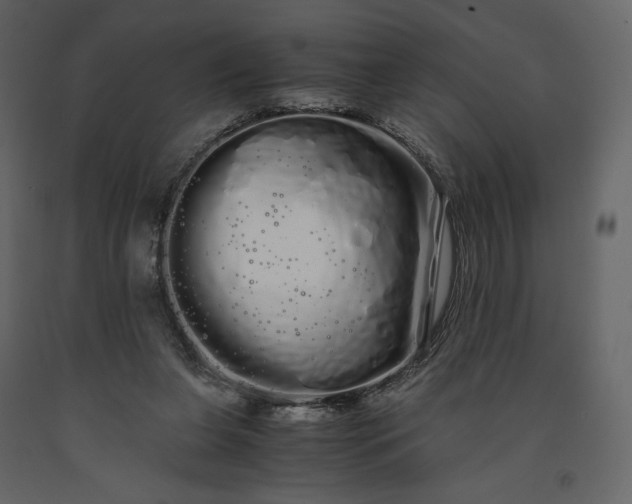X0000091240255200708231724