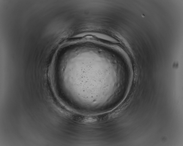 X0000091240257200708231724