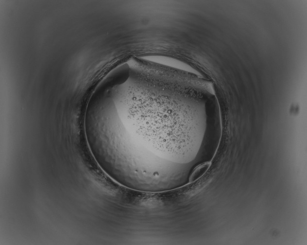 X0000091240258200708231724