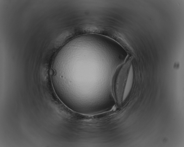 X0000091240259200708231724