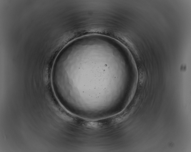 X0000091240261200708231724