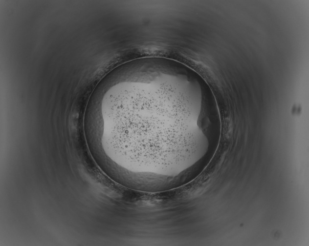 X0000091240263200708231724