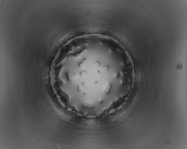 X0000091240264200708231724