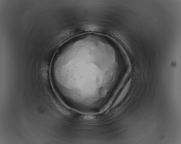 X0000091240265200708231724