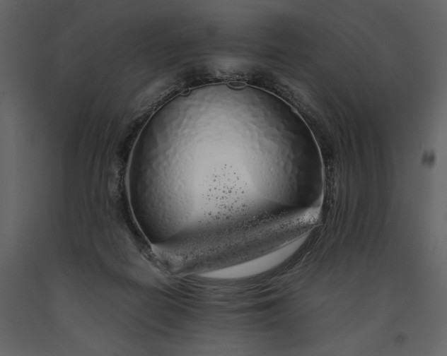 X0000091240266200708231724
