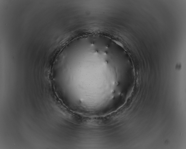X0000091240268200708231724