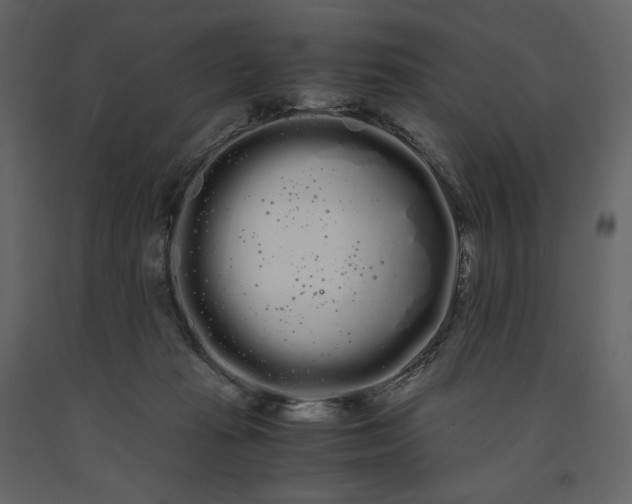 X0000091240269200708231724