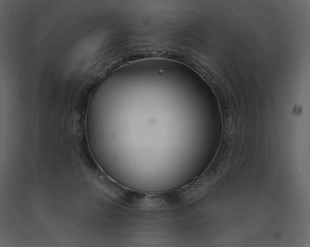 X0000091240270200708231724