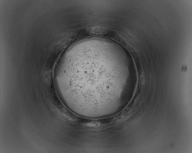 X0000091240271200708231724