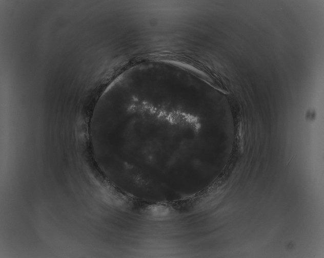 X0000091240272200708231724