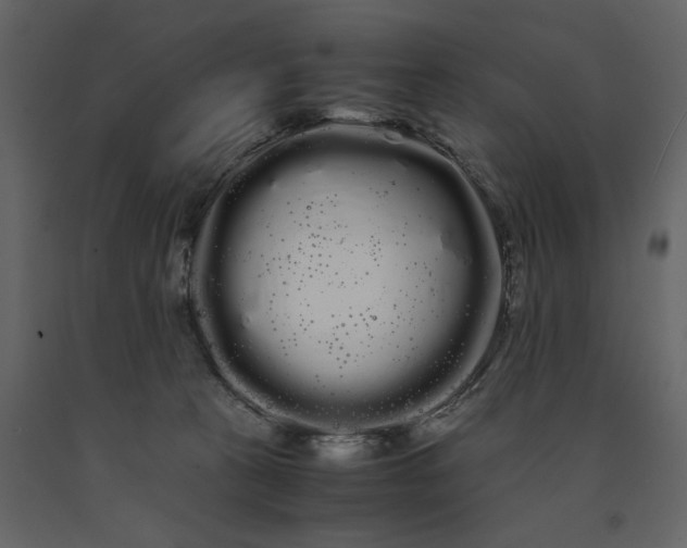 X0000091240273200708231724