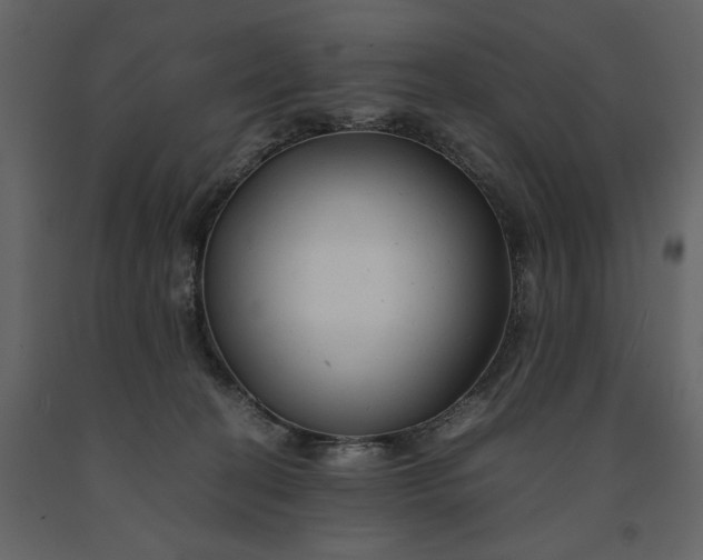 X0000091240274200708231724