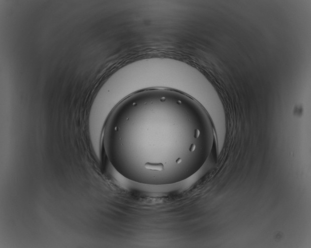 X0000091240276200708231724