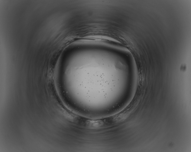 X0000091240277200708231724
