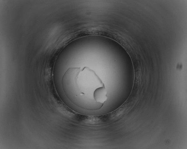 X0000091240278200708231724