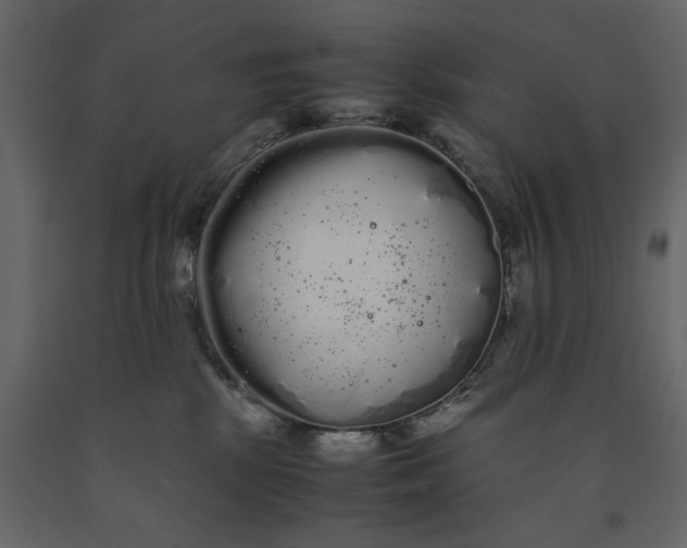 X0000091240281200708231724